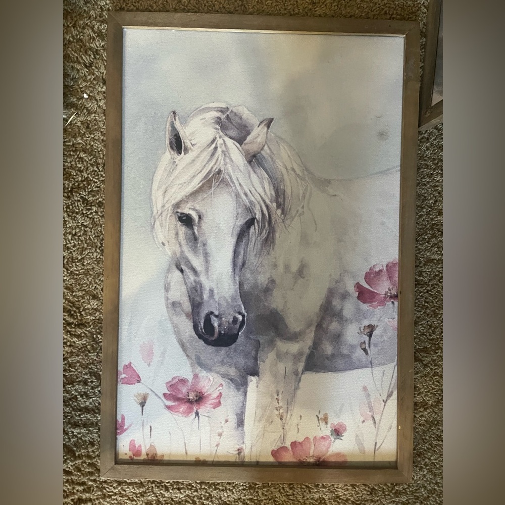TWO  framed horse pictures. Like new condition.